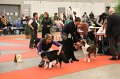 IMG_0376
