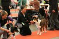 IMG_0377