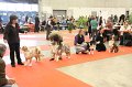 IMG_0381