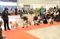 IMG_0382