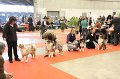 IMG_0383
