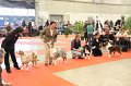 IMG_0384