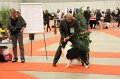 IMG_0386