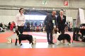 IMG_0400