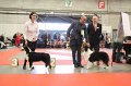 IMG_0401