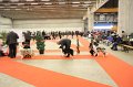 IMG_0405