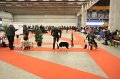 IMG_0406