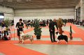 IMG_0411