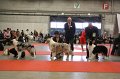 IMG_0417