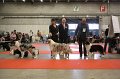 IMG_0436
