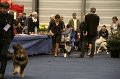 IMG_0438