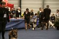 IMG_0439