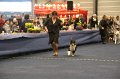 IMG_0441