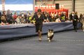 IMG_0443