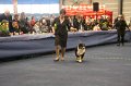IMG_0444