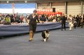 IMG_0446