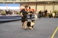 IMG_0449