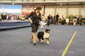 IMG_0450