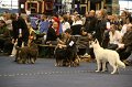 IMG_0458