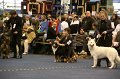 IMG_0462