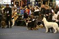 IMG_0464