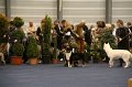 IMG_0465