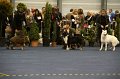 IMG_0470