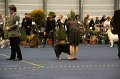 IMG_0476