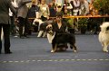 IMG_0478