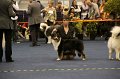 IMG_0480