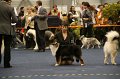 IMG_0485