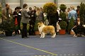 IMG_0487
