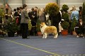 IMG_0488