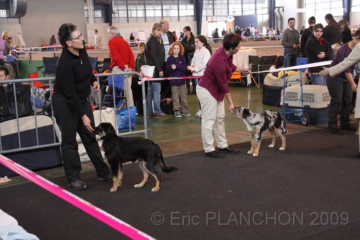 IMG_0002.JPG