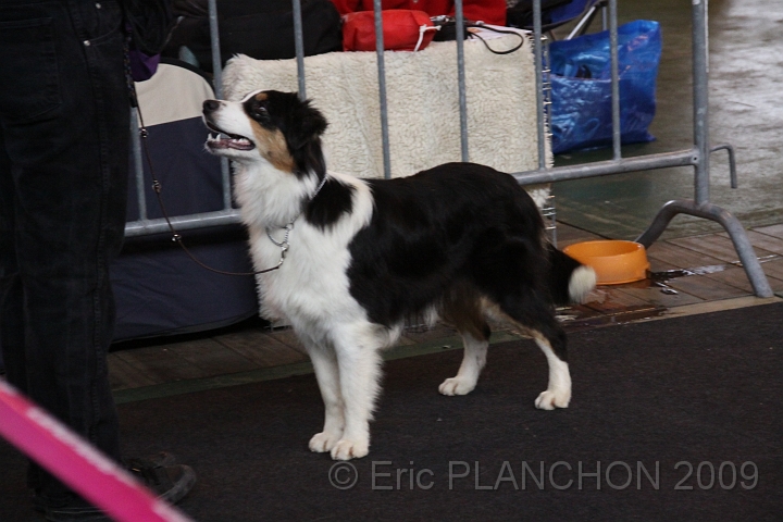 IMG_0072.JPG