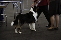 IMG_0132
