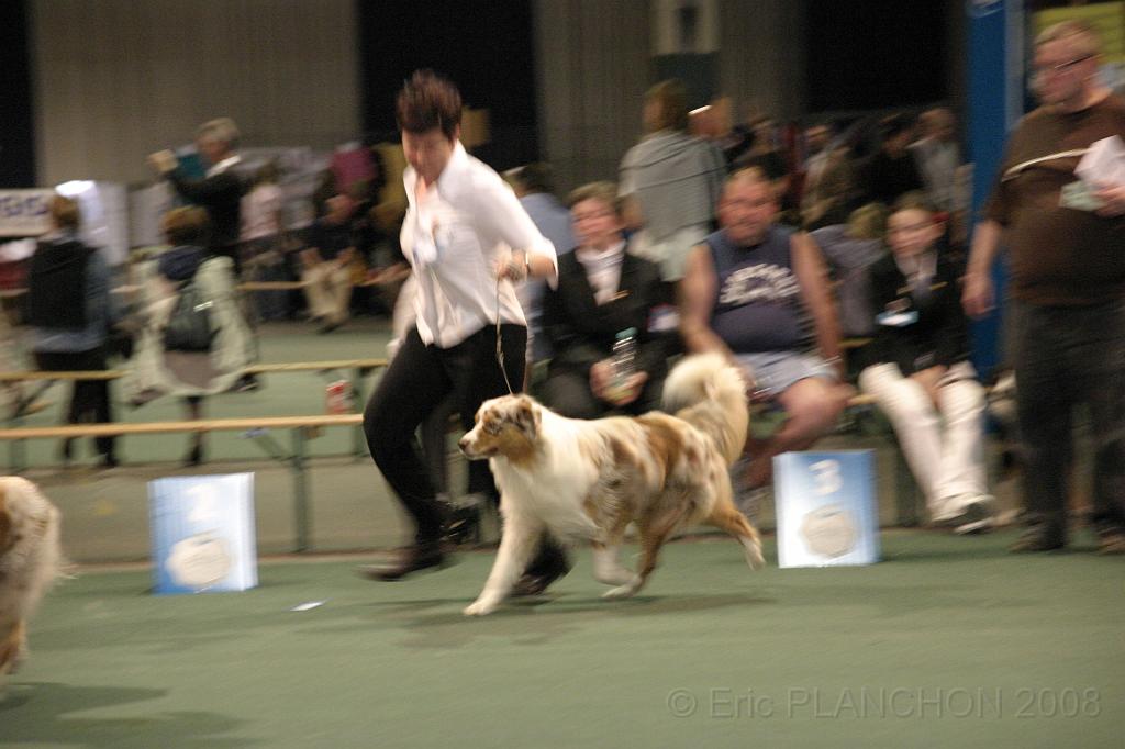 IMG_2271.JPG