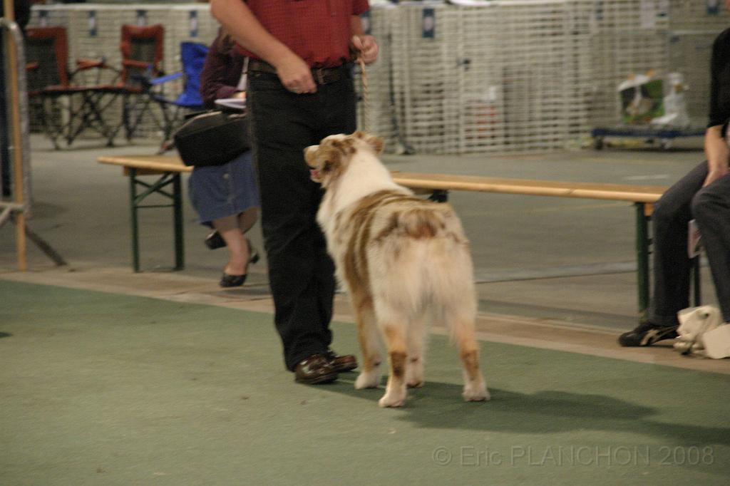 IMG_2274.JPG