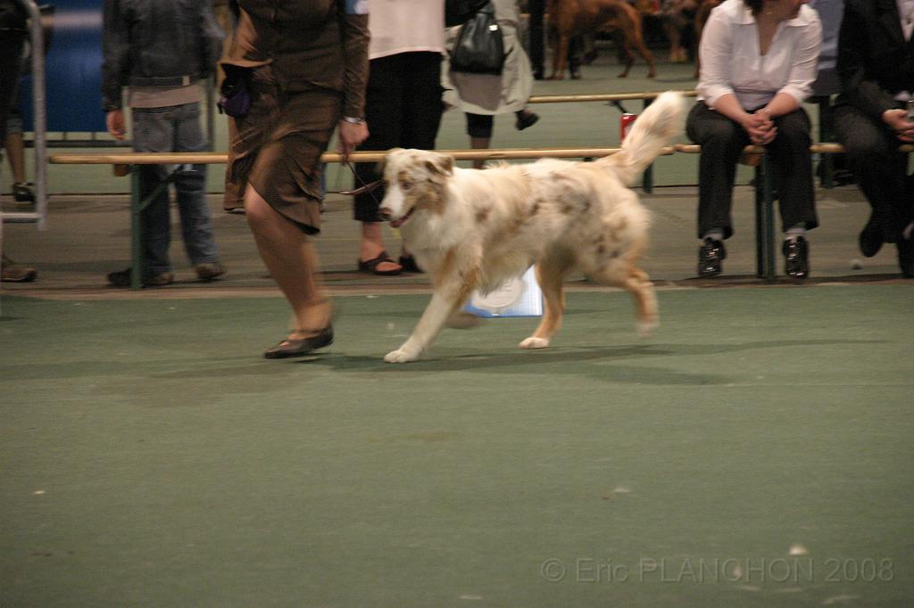 IMG_2283.JPG
