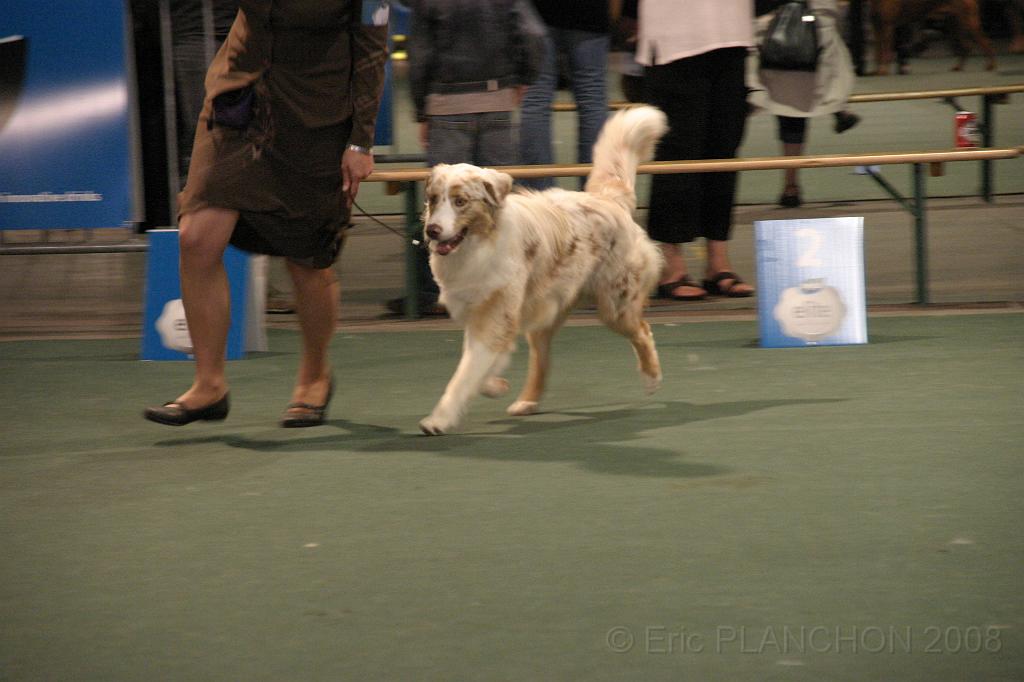IMG_2284.JPG