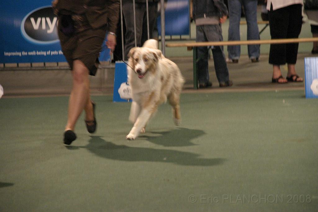 IMG_2285.JPG