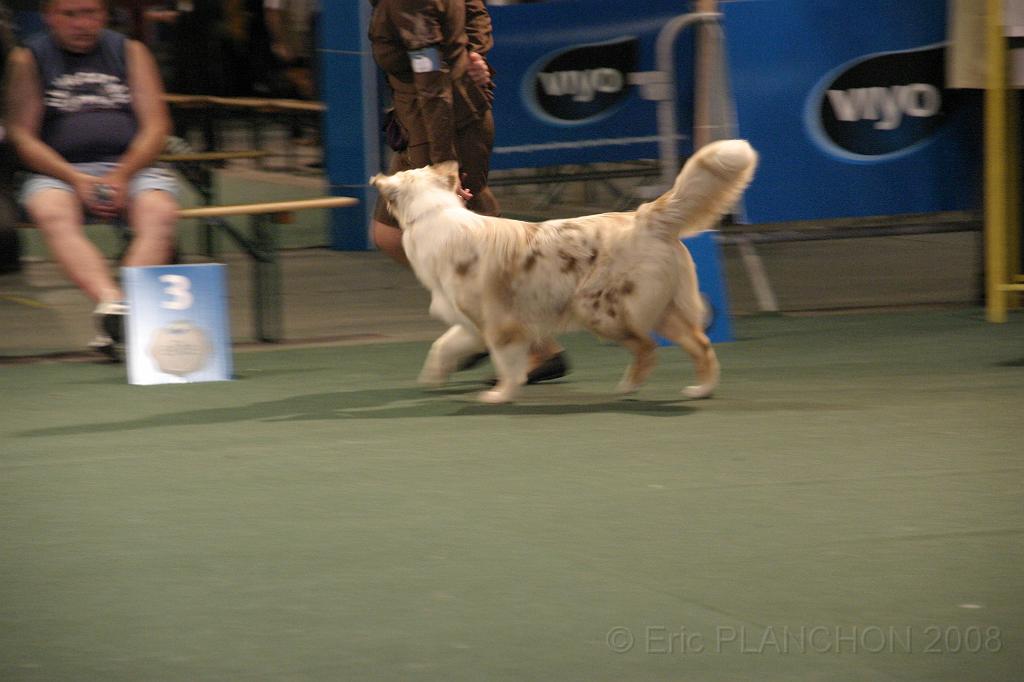 IMG_2288.JPG