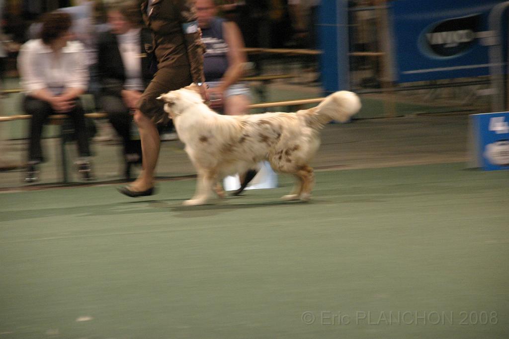 IMG_2289.JPG