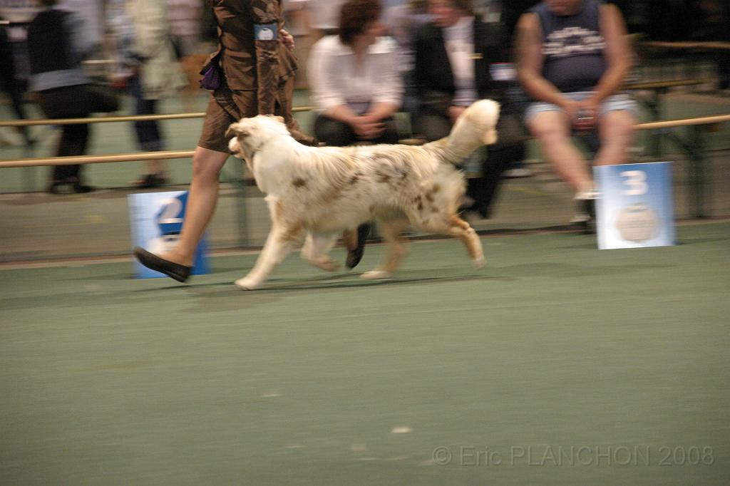 IMG_2290.JPG