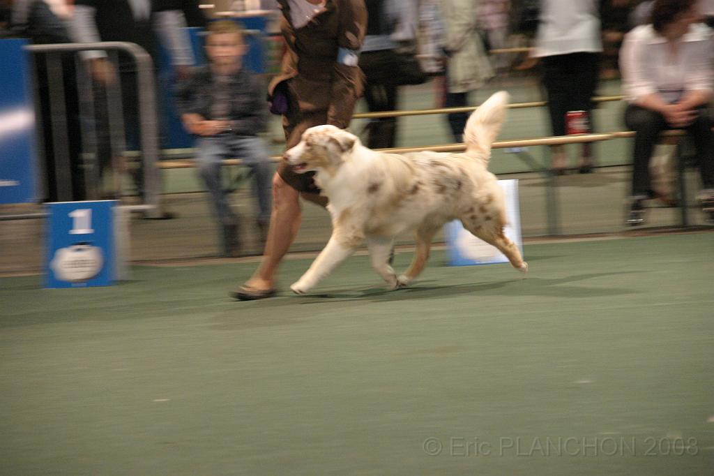 IMG_2291.JPG