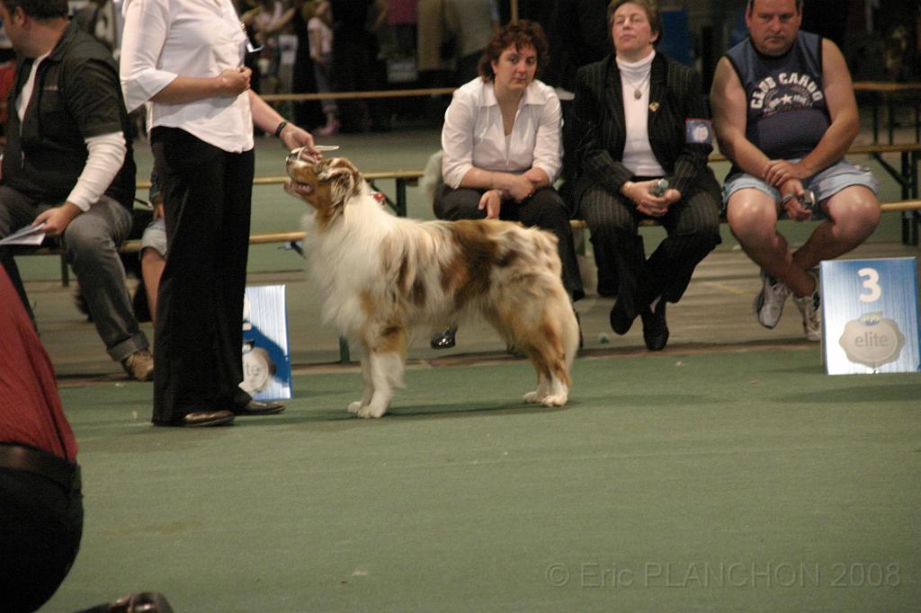 IMG_2296.JPG