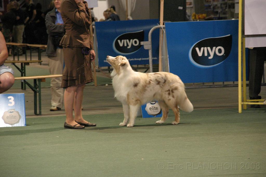 IMG_2300.JPG