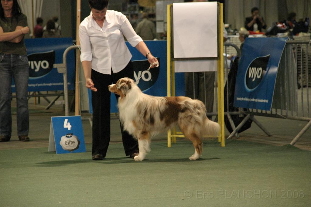 IMG_2312.JPG