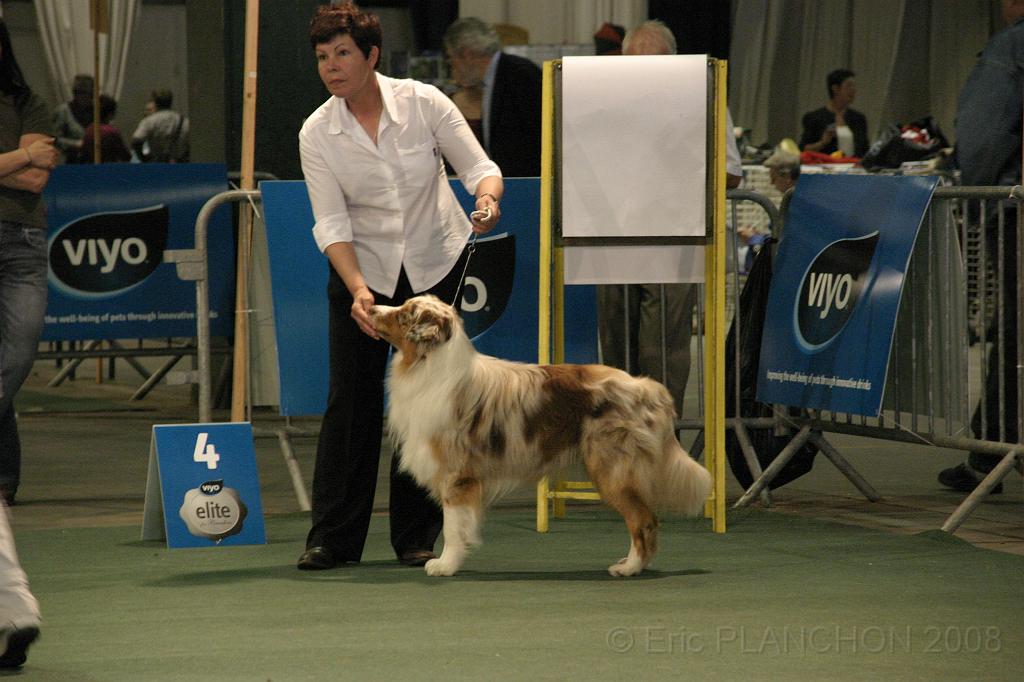 IMG_2319.JPG