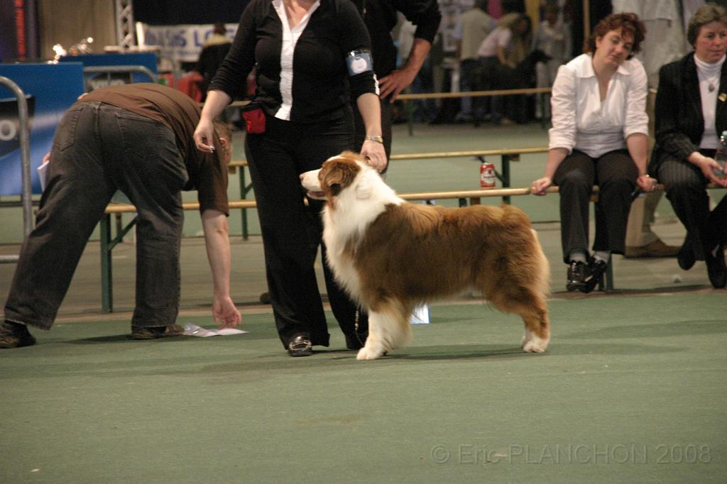 IMG_2329.JPG